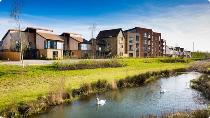 Modern houses by a pond with swans