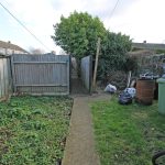 Back garden with overgrown plants and rubbish bins.