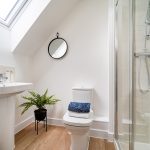 Modern bathroom with skylight, plant, and shower.