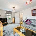 Modern living room with grey sofa and TV.